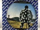 Pink Floyd Delicate Sound Of Thunder Brazil PROMO Picture Disc Lp Rare 928.010