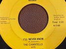 RARE 45 Chantells with the Aqua Lads - I'll Never Know / Don't Look (Kannapolis)