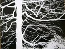 MIRKWOOD - Mirkwood - LP 1973 Amber Soundroom