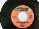 BRIAN WILSON RELATED STOCK 45 - HALE AND THE HUSHABYES - YES SIR THAT'S MY BABY