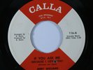 Northern Soul 45 JERRY WILLIAMS If You Ask Me (Because I Love You) CALLA HEAR