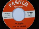 Funk 45 CALIF. SOUL EXPLOSION The Feeling PASHLO NM HEAR