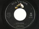 Northern Soul Popcorn 45 - Lenny Miles - Living Dream - RCA Victor - VG+ mp3
