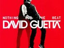 David Guetta Nothing But The Beat 2 X LP VINYL Parlophone 2019 NEW