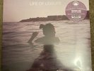 Washed Out Vinyl Life Of Leisure Mexican Summer 2010 Brand New Rare Mex 023