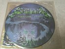 MAXI  Metallica - Creeping Death / Am I evil / Blitzkrieg  PICTURE DISC