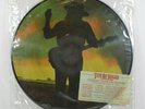 Stevie Ray Vaughan Original 1984 Picture Disc Couldn't Stand the Weather LP 12