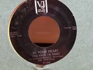 THE DONTELLS-IN YOUR HEART(you know i'm right) NORTHERN  SOUL US VEE JAY