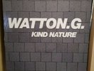 WATTON G - KIND NATURE / JAZZICAL - STREET BEATS RARE BUKEM