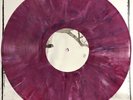 CHUCK RAGAN Feast RASPBERRY Vinyl LP No Idea Samiam Hot Water Music Gaslight Emo