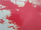 TEMPLE CLOUD: A SARAH RECORDS COMPILATION. ORIGINAL 1990  VINYL LP. Sarah 376