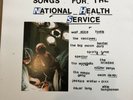 New NHS Songs For The National Health Service Blue Vinyl Vaccines Wolf Alice