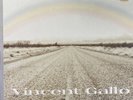 Vincent Gallo When Folk World& Country Labels : Warp Records WARP LP 87 Unplayed