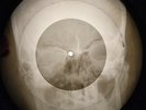 Doors - You Make Me Real X-RAY USSR BONE X-RAY RECORD