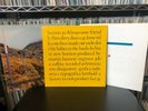 SECTION 25 ALWAYS NOW/FROM THE HIP/BAD NEWS WEEK ORIGINAL FACTORY EXCELLENT COND