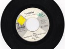 THIRTEENTH FLOOR ELEVATORS 45 rpm record LEVITATION white label DJ promo
