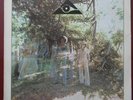 US LP - HIDDEN STRENGTH - S/T - UNITED ARTISTS Records 1975
