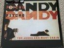 Jesus and Mary Chain - LP - Psychocandy RSD 2013 paint splatter vinyl - new