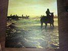 FOALS - HOLY FIRE - VINYL ALBUM LP