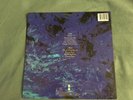 Echo and the bunnymen ocean rain vinyl