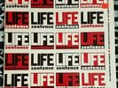 Life Sentence - No Experience Necessary LP