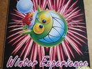 Thunderdome - Winter Experience - Oldschool-X-Mas-Hard-House-Sound - Rare Vinyl