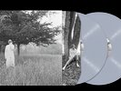TAYLOR SWIFT FOLKLORE #6 HIDE-AND-SEEK LIMITED EDITION DELUXE VINYL LP 12