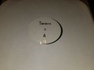 The Toasters - Don't Let the Bastards Grind You Down LP Test Pressing vinyl ska