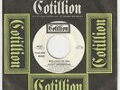 Velvet Underground   Who Loves The Sun   US DJ 45 HEAR