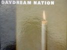 Sonic Youth ORIG US 4LP Box Set Daydream nation Deluxe Edition NM 2007 GOO013