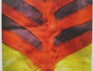 YEAH YEAH YEAHS 'Show Your Bones' Vinyl LP NEW/SEALED