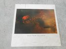 COCTEAU TWINS-VICTORIALAND-LP-INNER-IMP-UK-4AD CAD 602-1986-NM