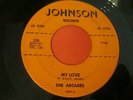 THE ARCADES FINE LITTLE GIRL MY LOVE VG+ 45 1959 SOUL JOHNSON 320 FREE SHIP
