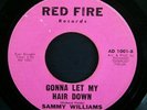 SAMMY WILLIAMS NOBODY LOVES ME / GONNA LET MY HAIR DOWN RED FIRE 1001 7