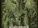 Malevolence - Reign Of Suffering COLORED VINYL LP DESOLATED NASTY HATEBREED