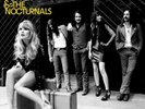 Grace Potter & The Nocturnals (2011) Hollywood Records LP & 7