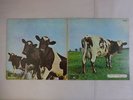 Pink Floyd Atom Heart Mother Odeon OP-80102 Japan RED WAX VINYL LP