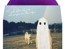 Phoebe Bridgers - Stranger in the Alps Vinyl - Newbury Comics Purple- SOLD OUT