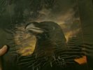 THE STRANGLERS THE RAVEN VINYL LP ALBUM