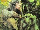 JOHN MAYALL-BLUES FROM LAUREL CANYON (US IMPORT) VINYL NEW