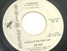 Northern Soul Anthony & The Aqua Lads 