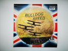 BULLDOG BREED MADE IN ENGLAND 1ST PRESS 1969 UK DERAM VINYL LP SDN 5
