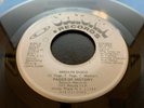 Pages Of History - Smokin Disco - Rare Unknown Dead Stock Funk Boogie 45 NM-