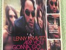 Lenny Kravitz Are You Gonna Go My Way Clear Vinyl LP