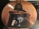 The Doors Jim Morrison Picture Disc vinyl record Rare