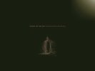 STARS OF THE LID 