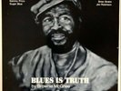 Brownie McGhee ‎- Blues Is Truth (LP) (G+/G++)
