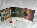 3LP – THE FIRST GREAT ROCK FESTIVALS OF THE SEVENTIES /  USA / TOP CONDITION