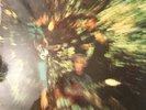 Bayou Country Creedence Clearwater Revival USA vinyl LP album record 8387