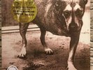 Alice In Chains ?– Alice In Chains K 67248 S2 UK GREEN SEALED 2LP Unofficial